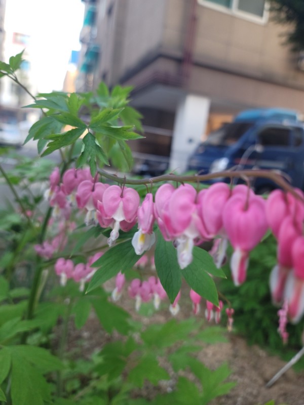 8280d54e45999c651f807693a6d771f8_1746320668.jpg